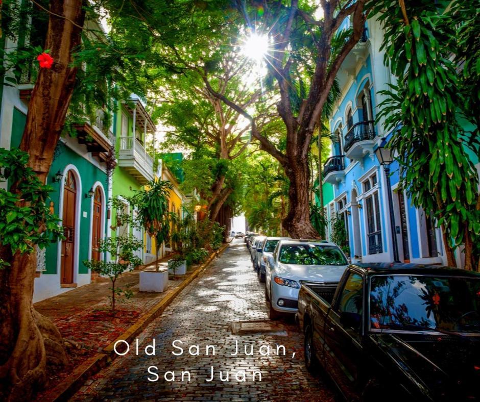 Bee Inn Puerto Rico Charming Urban Apartment In San Juan Eksteriør billede